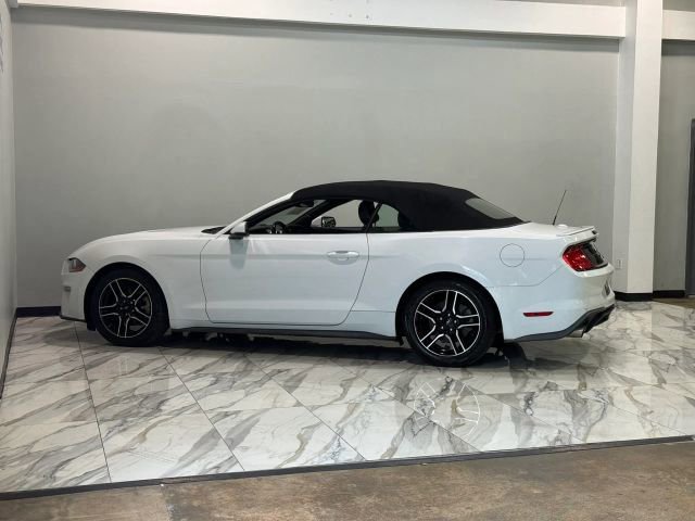 Used 2019 Ford Mustang Premium RWD image 9
