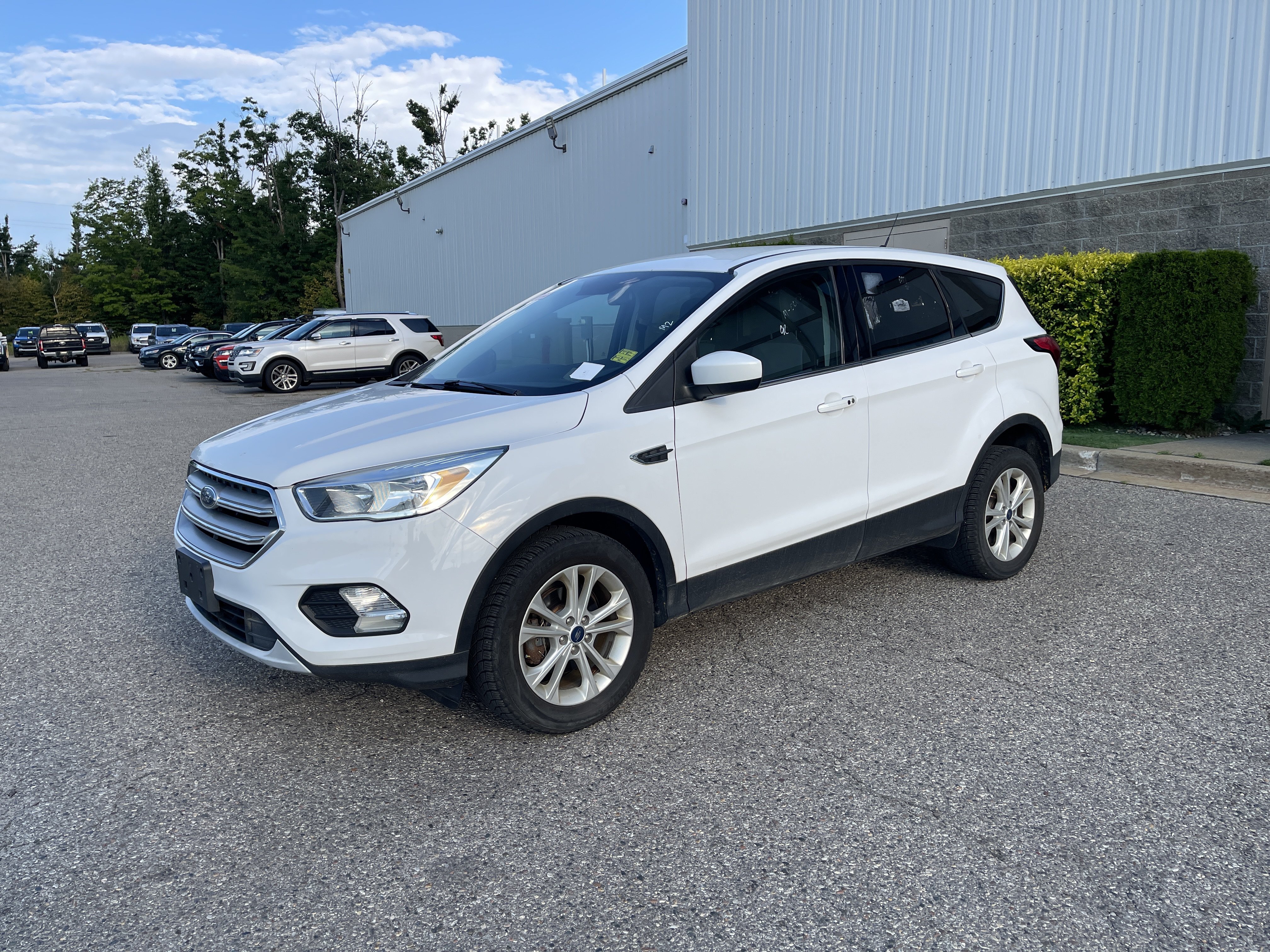 Used 2019 Ford Escape SE FWD image 8