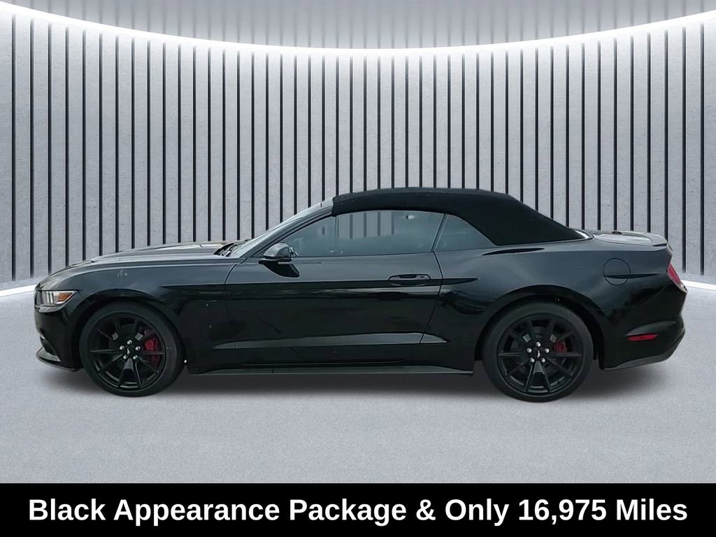 Used 2017 Ford Mustang GT Premium w/ Black Accent Package image 8