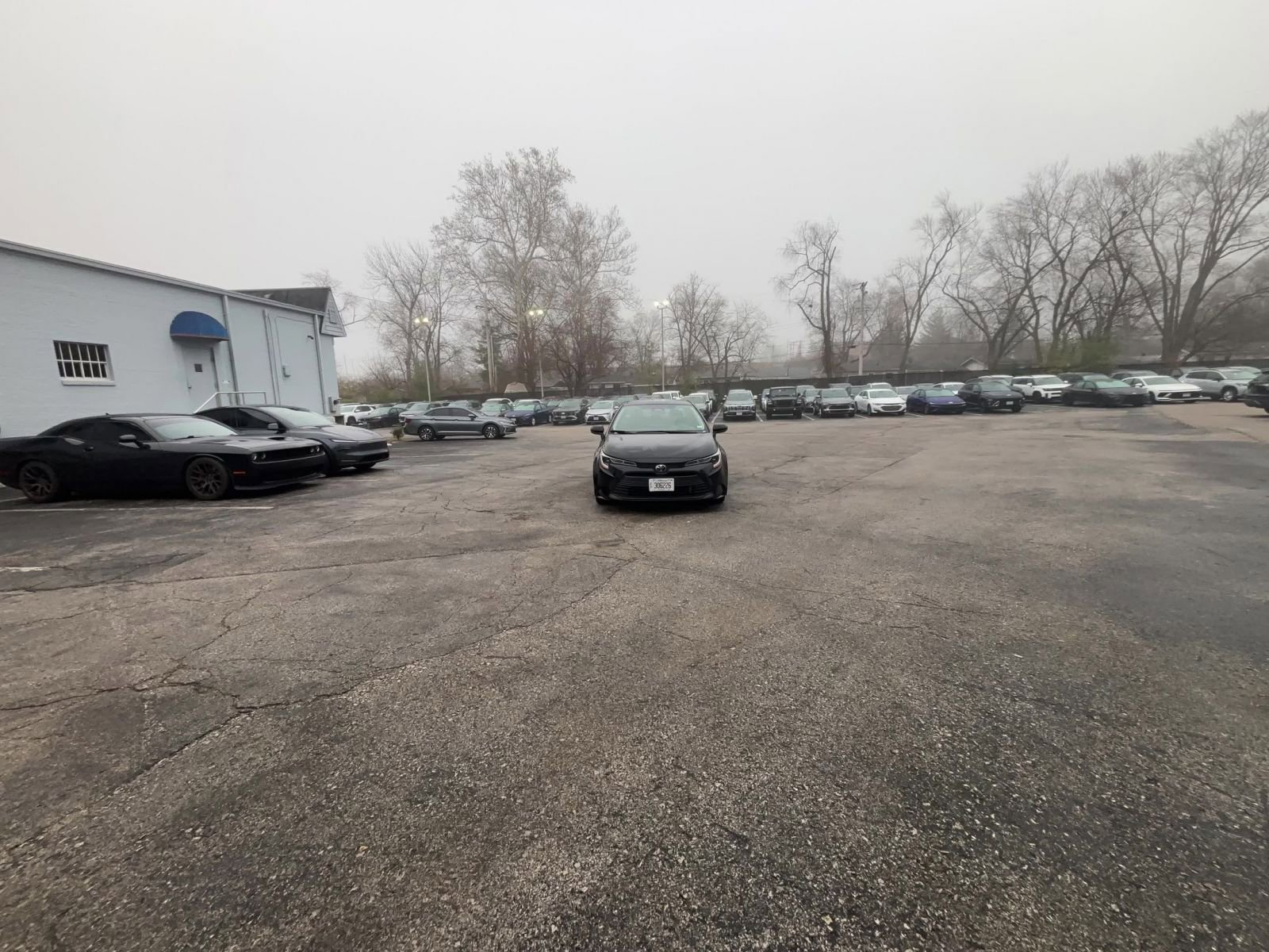 Used 2025 Toyota Corolla LE image 11