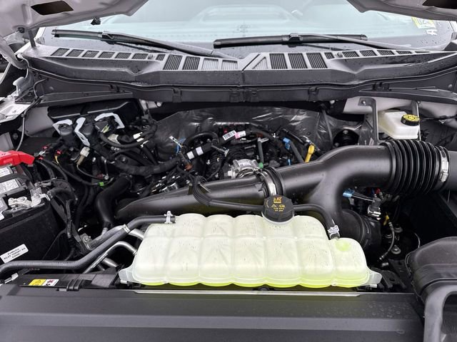 New 2026 Ford F150 STX w/ Equipment Group 200A image 11