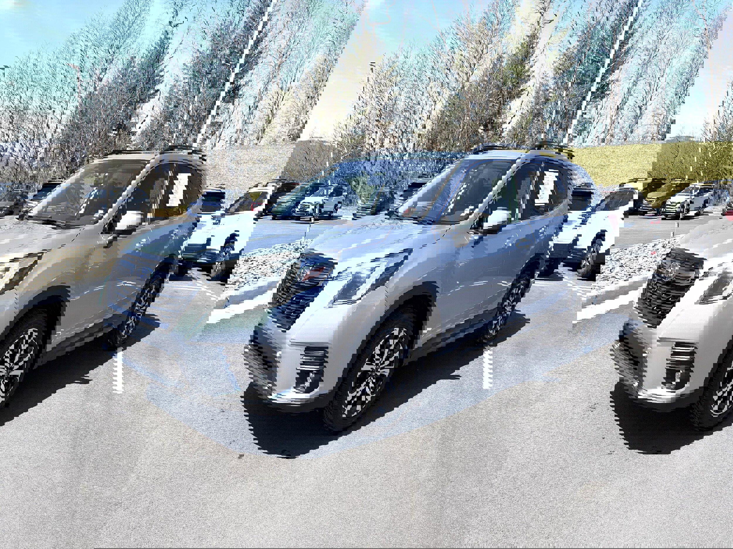 Certified 2023 Subaru Forester Limited image 3