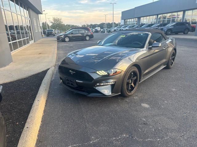 Used 2018 Ford Mustang Premium RWD image 3