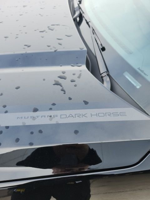 New 2026 Ford Mustang Dark Horse RWD image 18