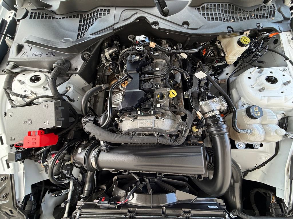 Used 2024 Ford Mustang Premium RWD image 9