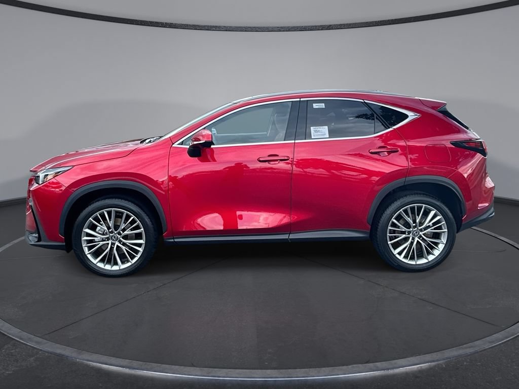 New 2026 Lexus NX 350 AWD w/ Cold Area Package image 5