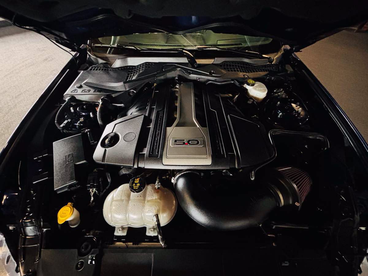 Used 2019 Ford Mustang GT RWD image 23