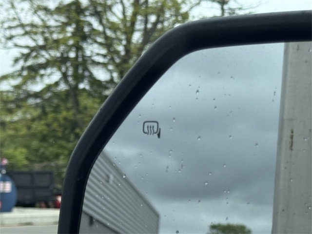 New 2025 Ford F550 4x4 Regular Cab Super Duty image 32