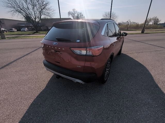 Used 2022 Ford Escape SEL w/ Technology Package image 6