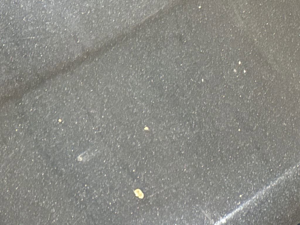 Used 2011 Ford Fusion SEL w/ 301A Rapid Spec Order Code image 34