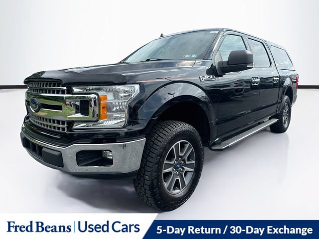 Used 2019 Ford F150 XLT w/ Equipment Group 302A Luxury AWD/4WD image 3