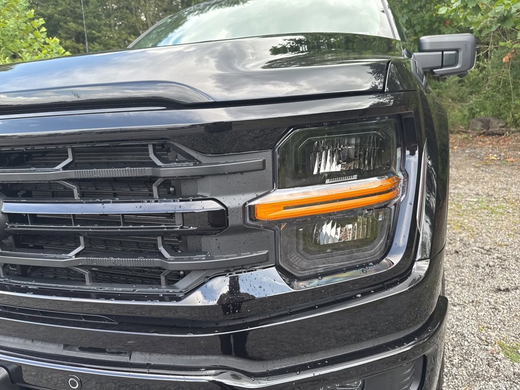 New 2025 Ford F150 XLT image 3
