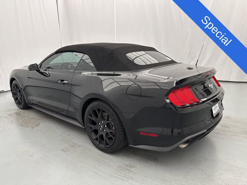Used 2019 Ford Mustang Premium w/ Ecoboost Performance Package RWD image 5