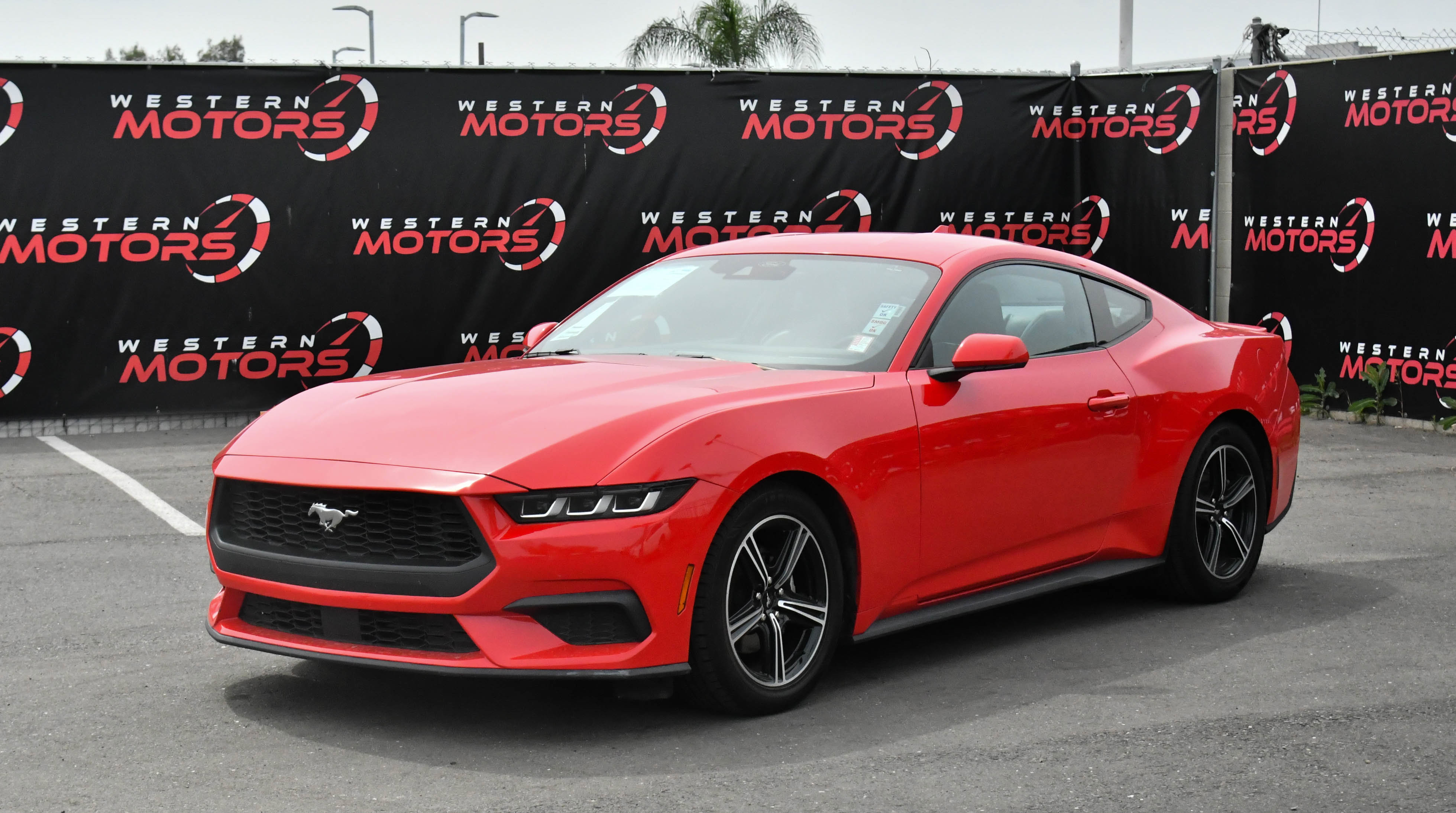 Used 2024 Ford Mustang Premium RWD image 3