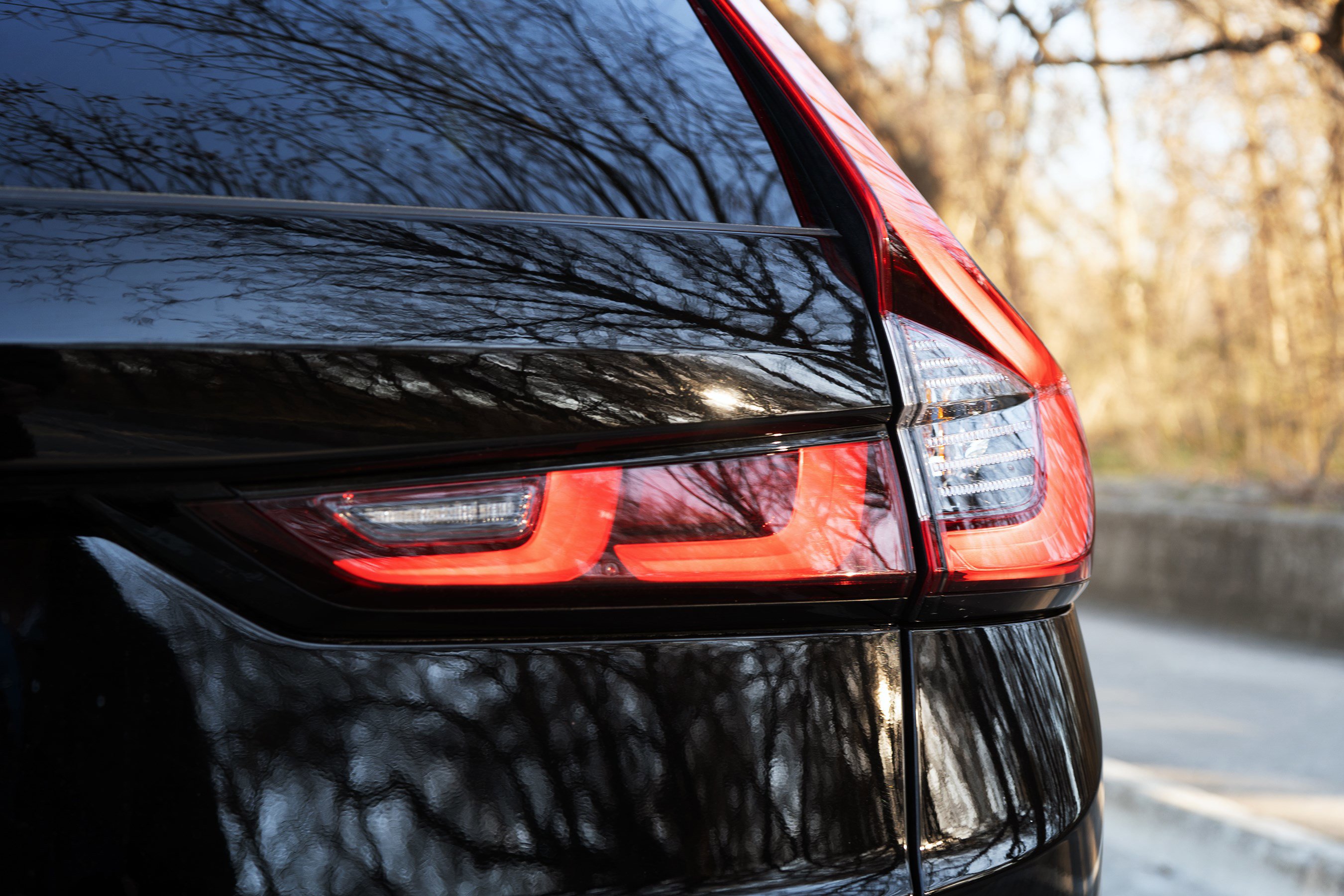 Certified 2025 Honda CR-V EX-L image 13