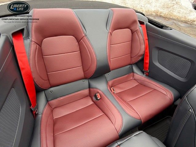 New 2026 Ford Mustang GT Premium image 14