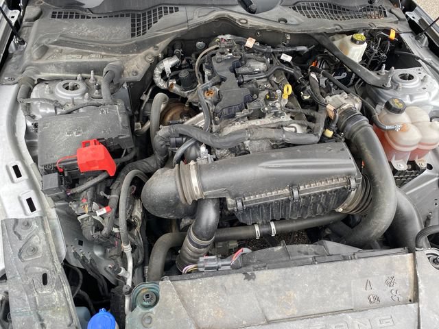 Used 2024 Ford Mustang Premium RWD image 19