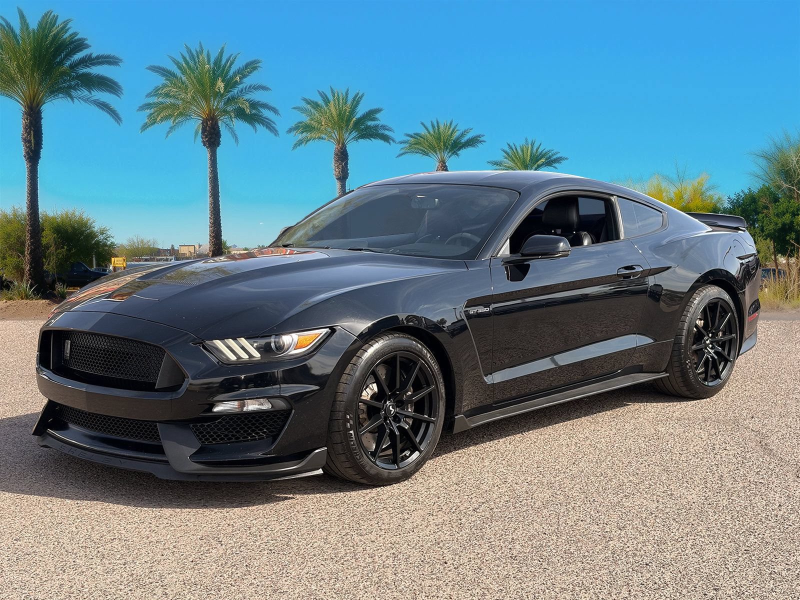 Used 2016 Ford Mustang Shelby GT350 w/ Technology Package RWD image 41