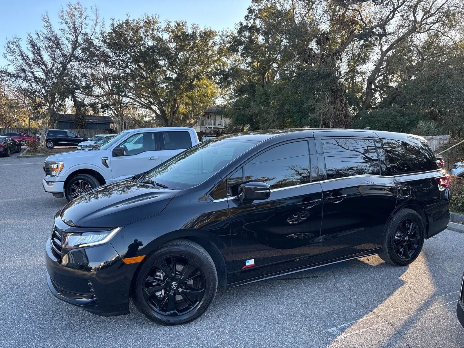 Used 2024 Honda Odyssey Sport image 3