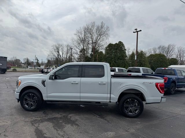 Used 2023 Ford F150 XLT w/ Equipment Group 302A High image 12