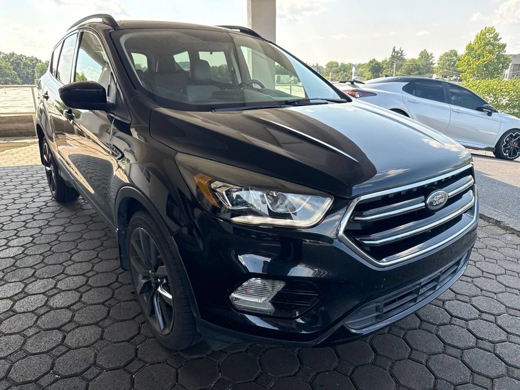 Used 2019 Ford Escape SE AWD/4WD image 4