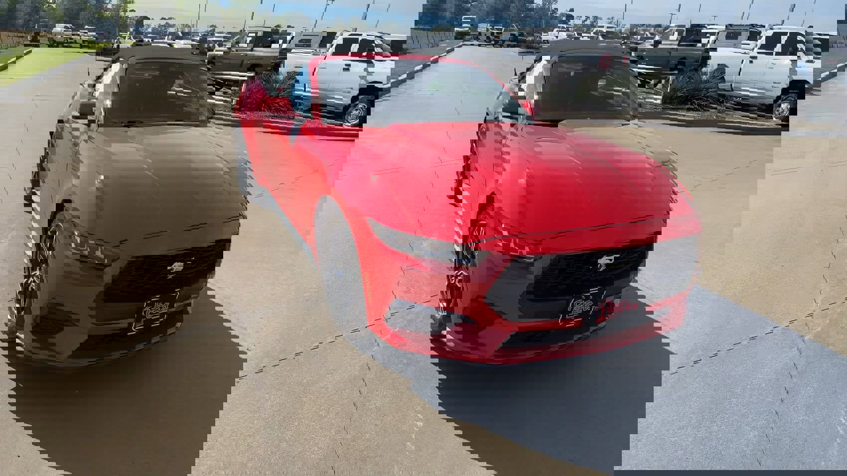 Used 2024 Ford Mustang Premium image 4