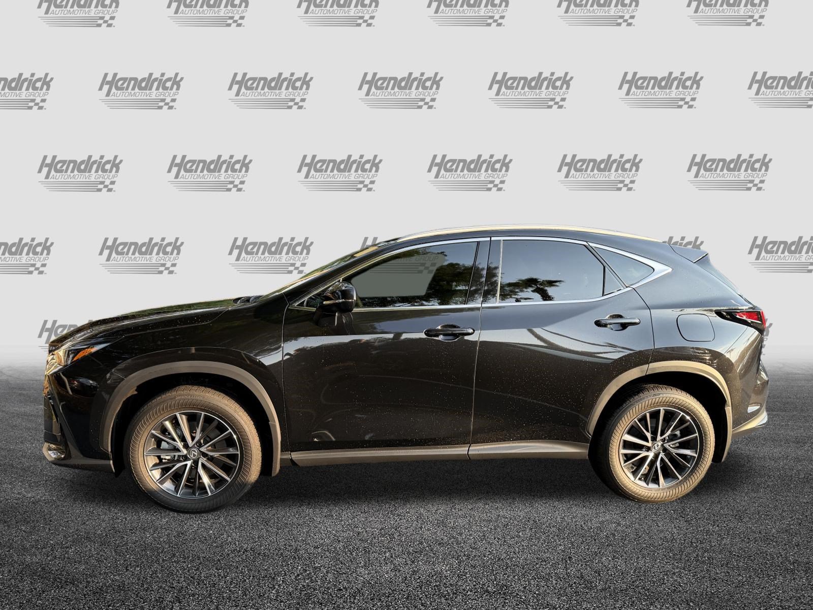 Certified 2024 Lexus NX 250 FWD image 6