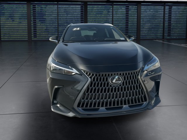 Certified 2024 Lexus NX 250 FWD w/ Cold Area Package image 3