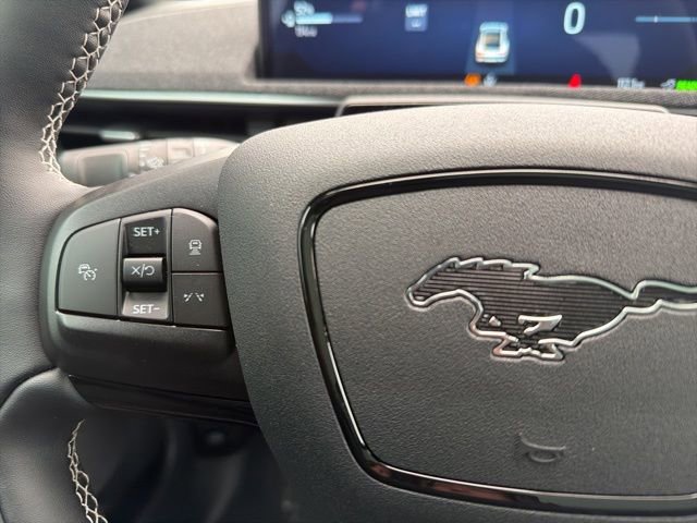 New 2025 Ford Mustang Mach-E GT w/ Interior Protection Package image 19