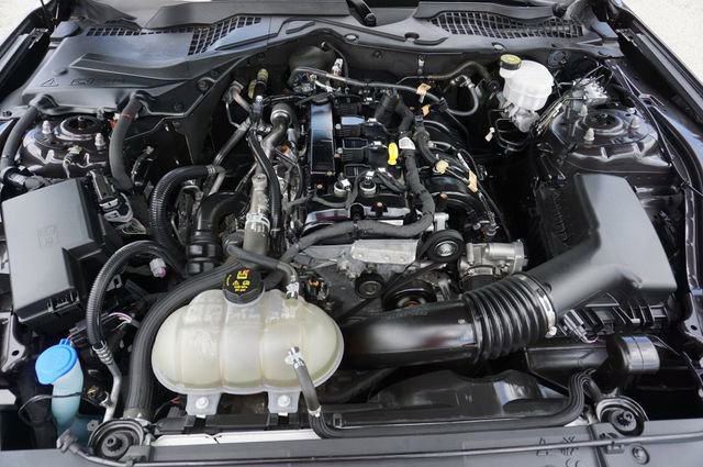 Certified 2023 Ford Mustang Premium w/ Equipment Group 201A RWD image 13
