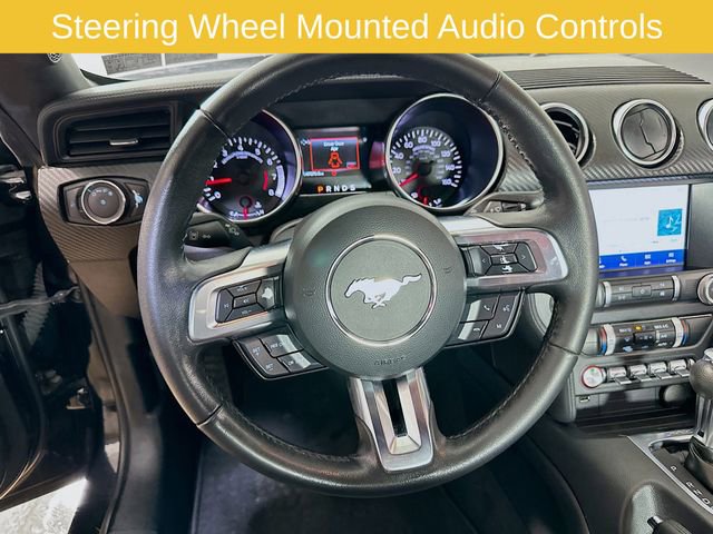 Certified 2023 Ford Mustang Coupe w/ Equipment Group 101A RWD image 12