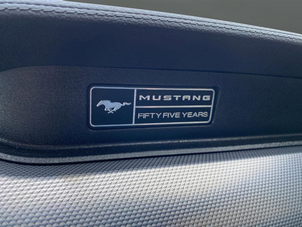 Used 2020 Ford Mustang EcoBoost w/ Equipment Group 101A image 14