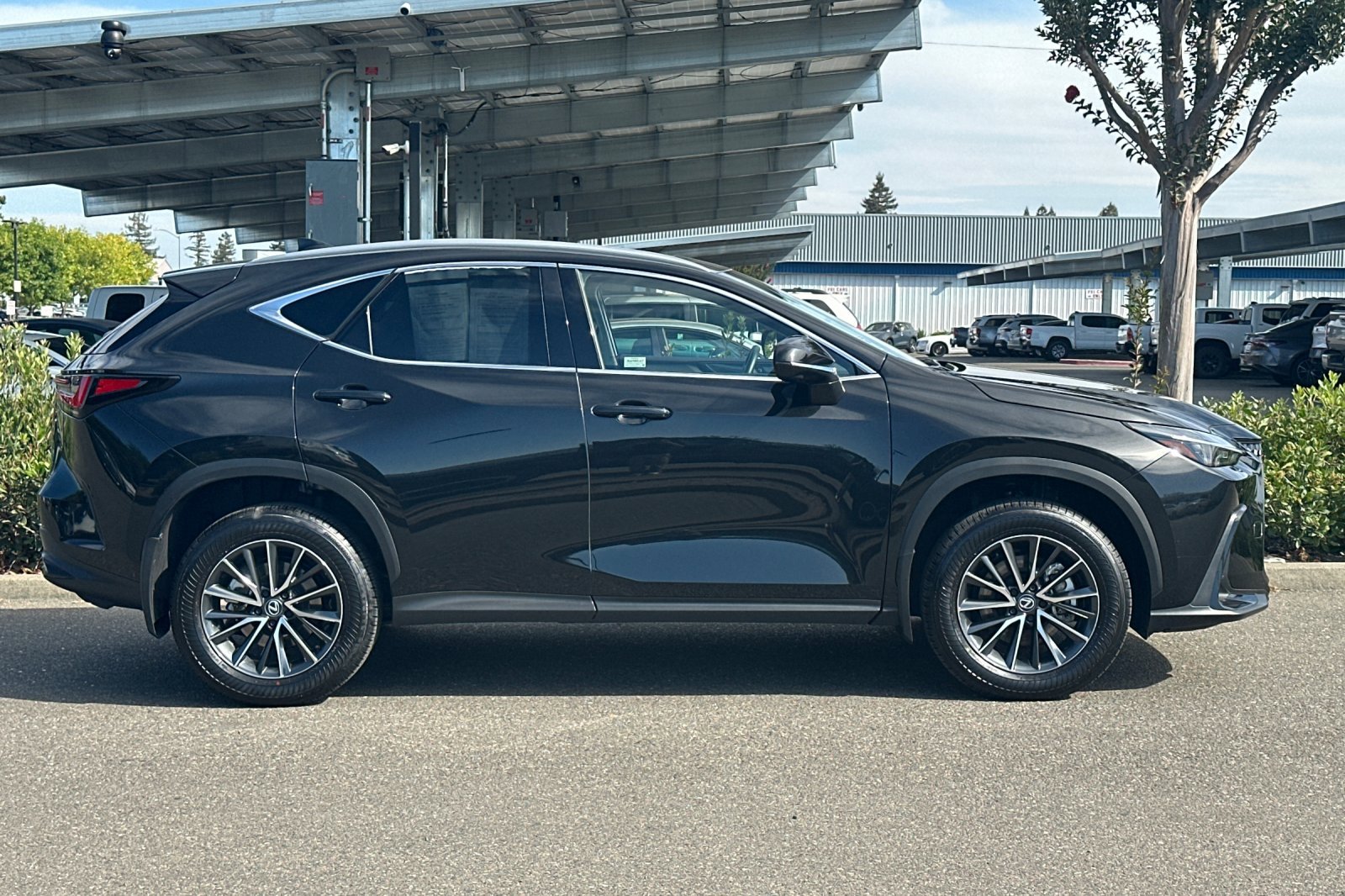 Used 2025 Lexus NX 350h AWD w/ Premium Package image 3