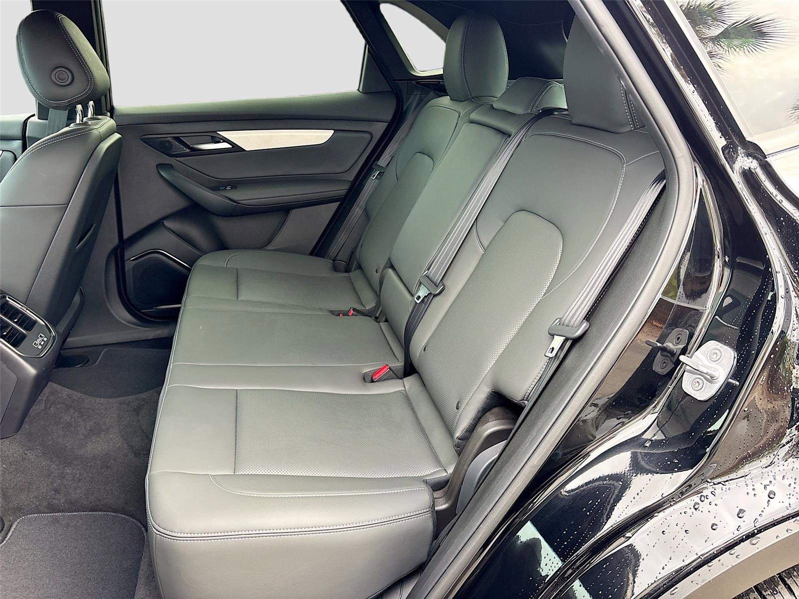 New 2025 VinFast VF 8 Plus image 24