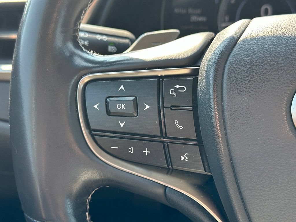 Used 2021 Lexus ES 250 w/ Premium Package AWD/4WD image 19