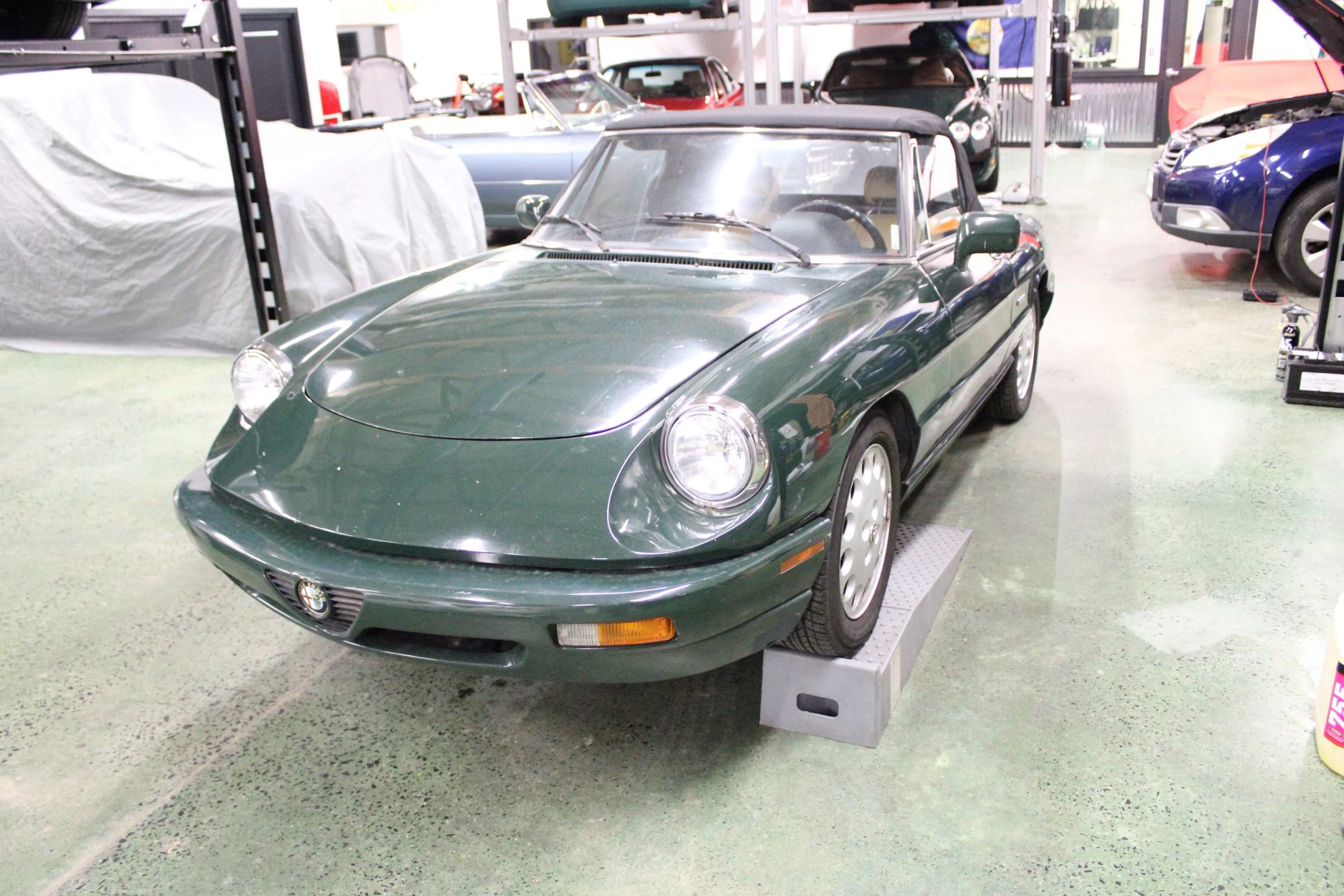 Used 1991 Alfa Romeo Spider Veloce image 3