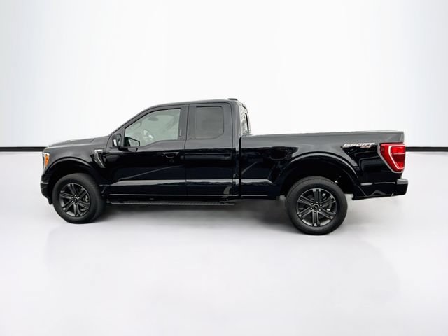 Certified 2023 Ford F150 XLT w/ Equipment Group 302A High AWD/4WD image 6