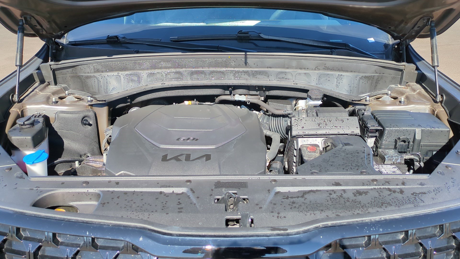 Used 2024 Kia Telluride SX X-Line image 37