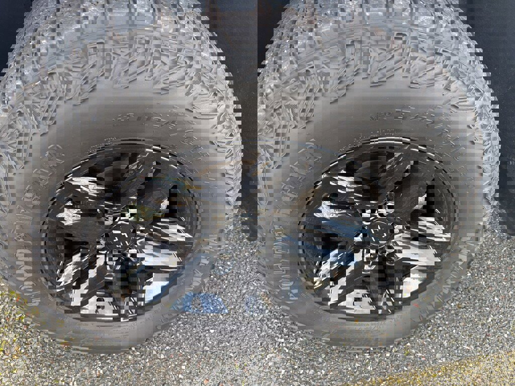 Used 2023 Chevrolet Silverado 1500 LT Trail Boss w/ Protection Package image 10