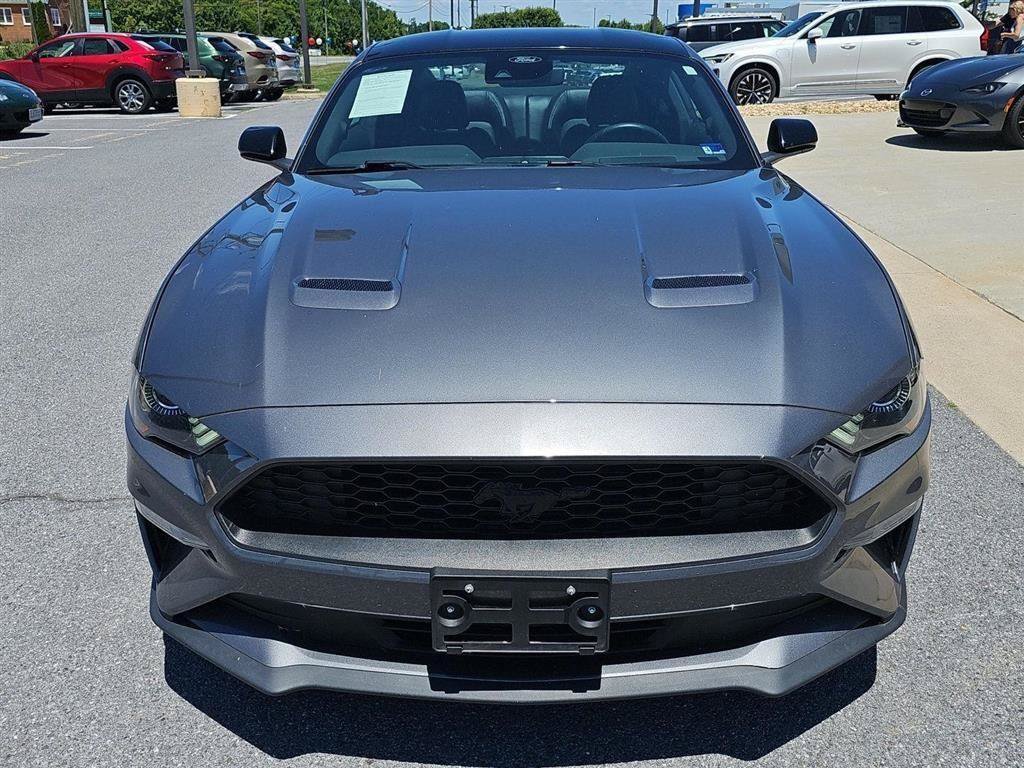 Used 2023 Ford Mustang Premium w/ Mustang Nite Pony Package RWD image 2