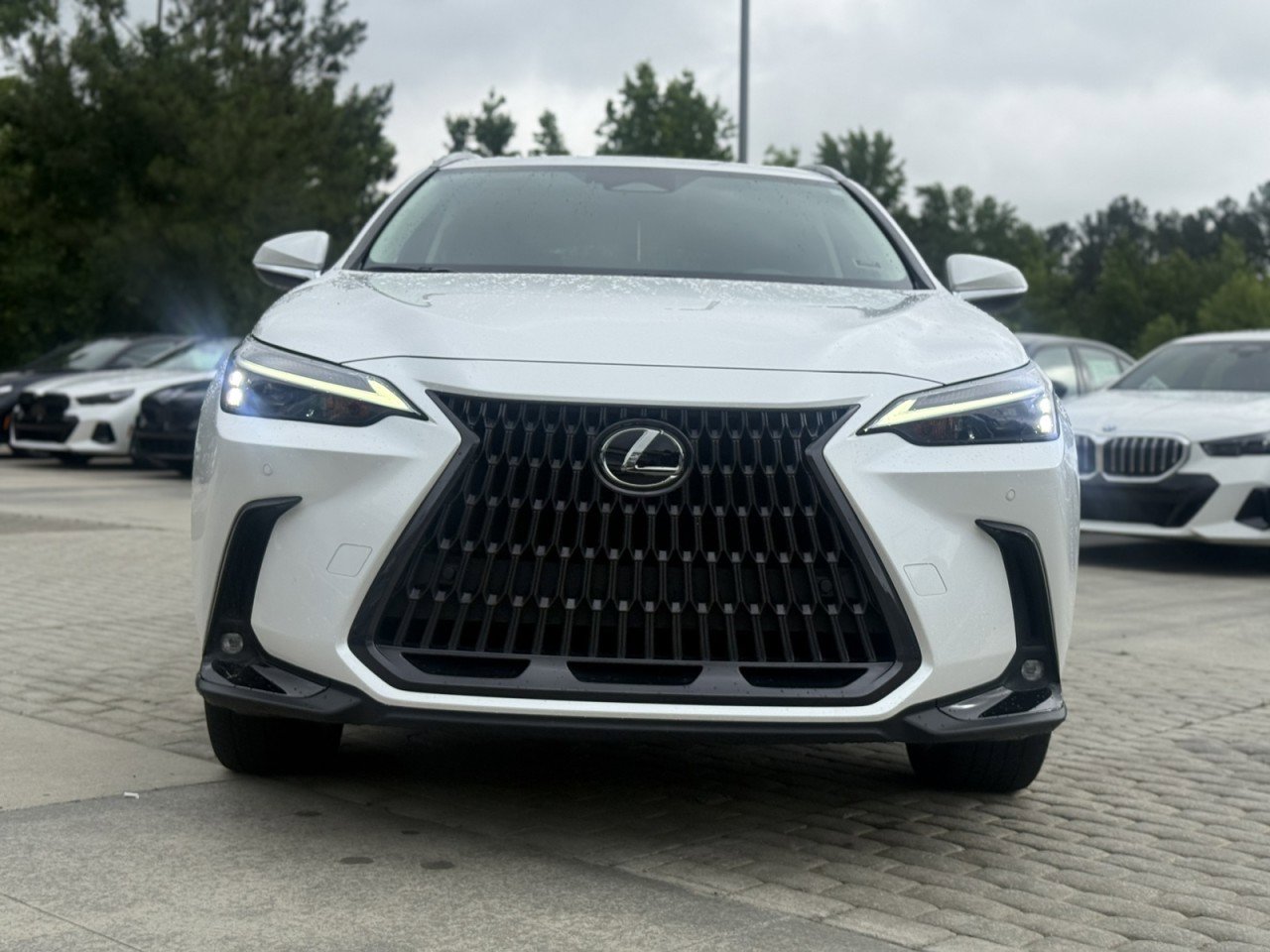 Used 2023 Lexus NX 350h AWD image 9