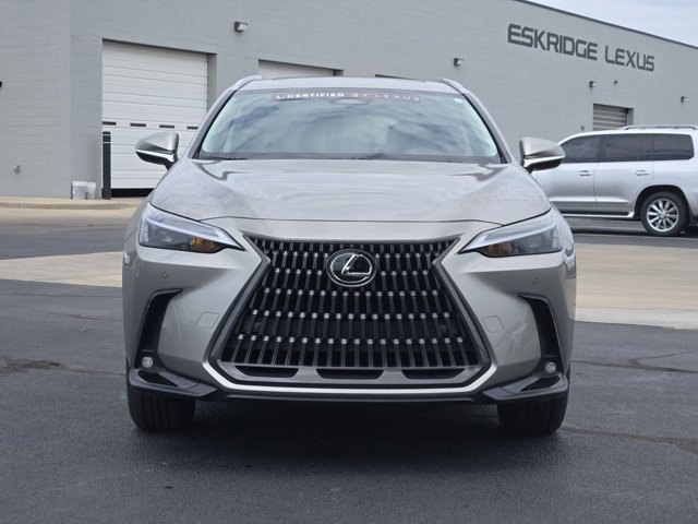 Certified 2025 Lexus NX 250 FWD w/ Cold Area Package image 2