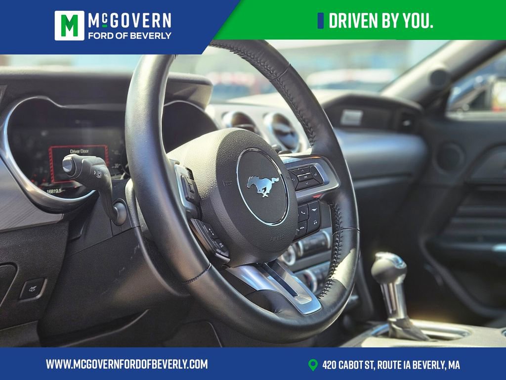 Used 2023 Ford Mustang GT Premium w/ Equipment Group 401A RWD image 16