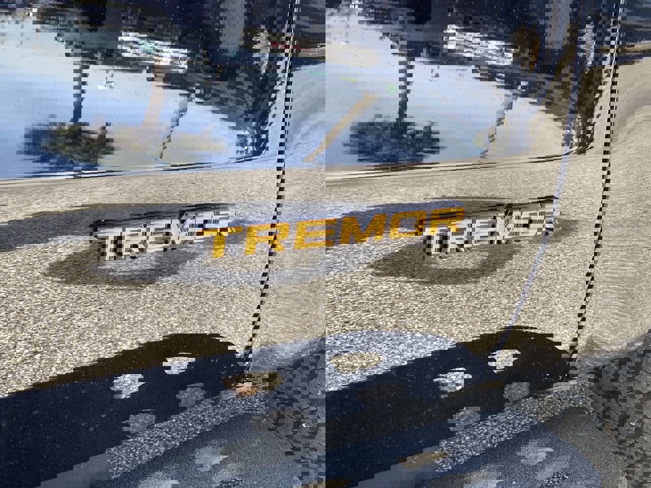 New 2026 Ford Expedition Tremor image 9