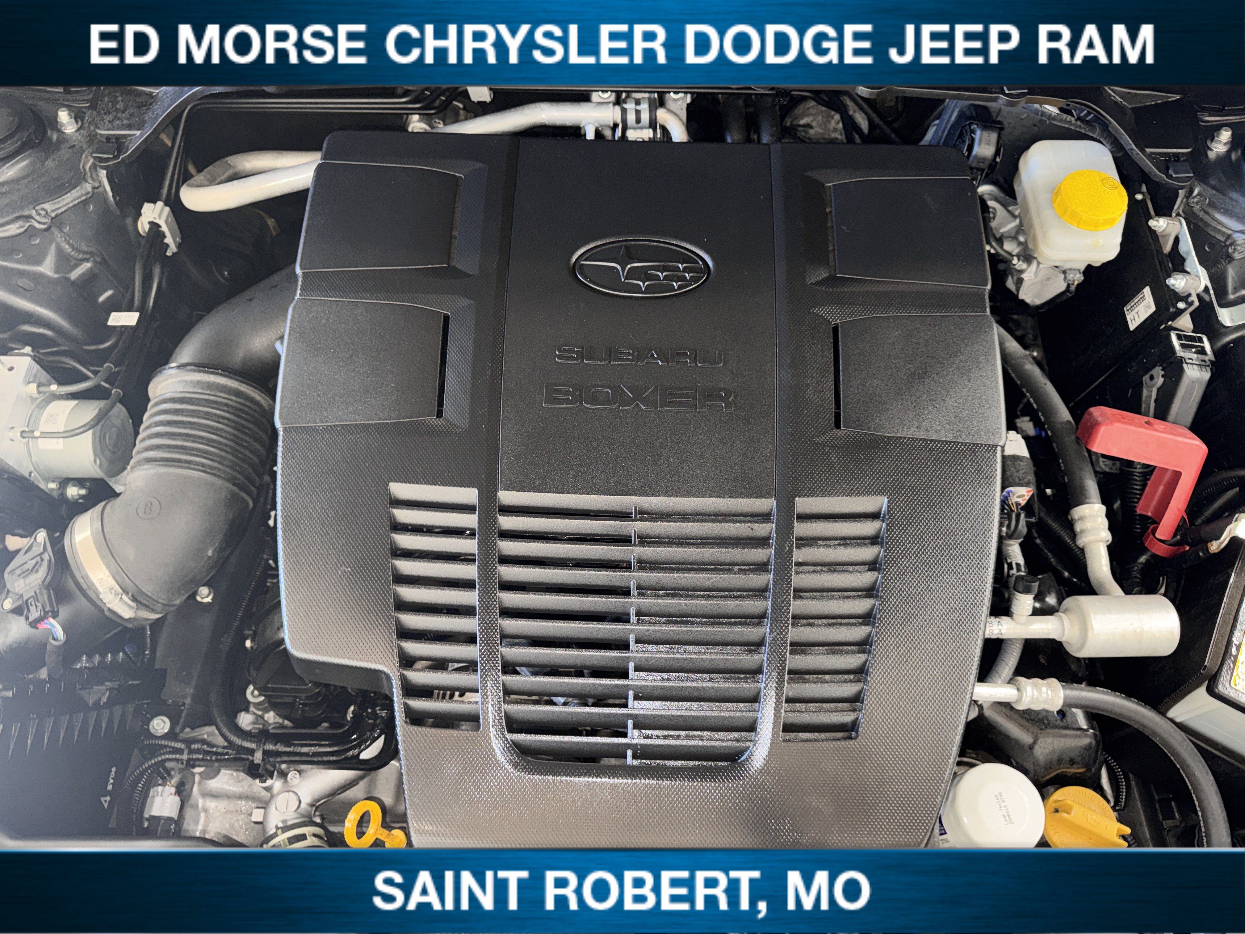 Used 2024 Subaru Forester Premium image 14