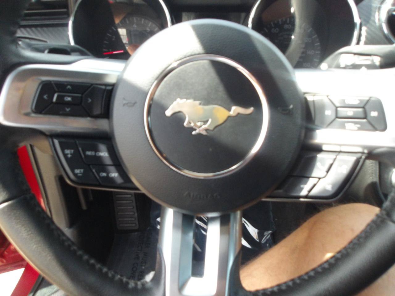Used 2015 Ford Mustang Coupe w/ Equipment Group 051A RWD image 15