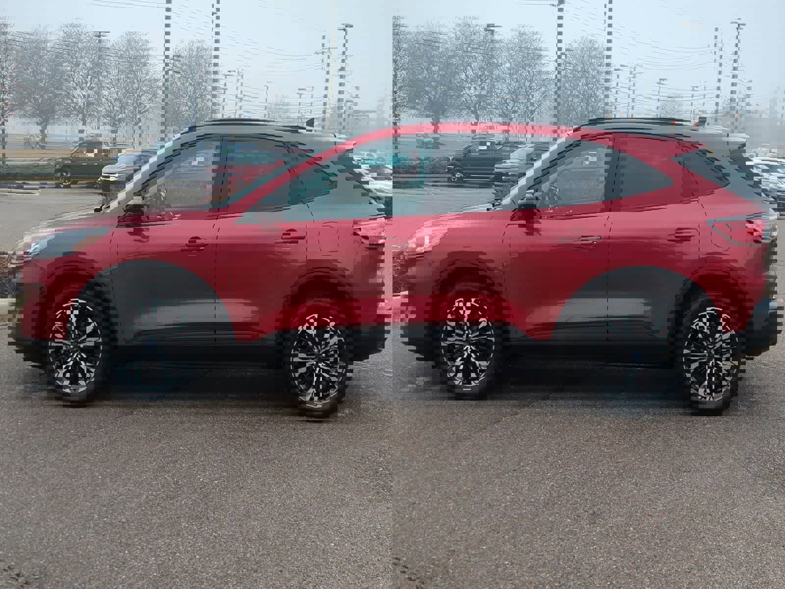 Used 2022 Ford Escape SEL w/ SEL Stealth AWD Package image 5