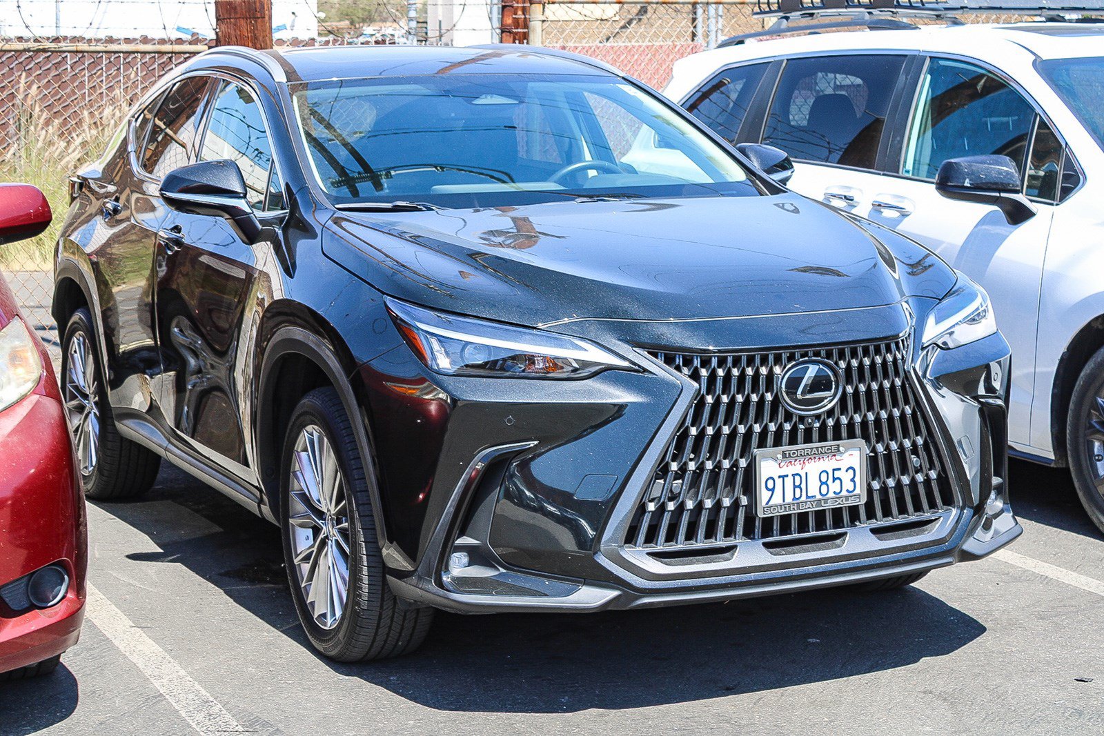 Used 2025 Lexus NX 350 AWD w/ Cold Area Package image 3
