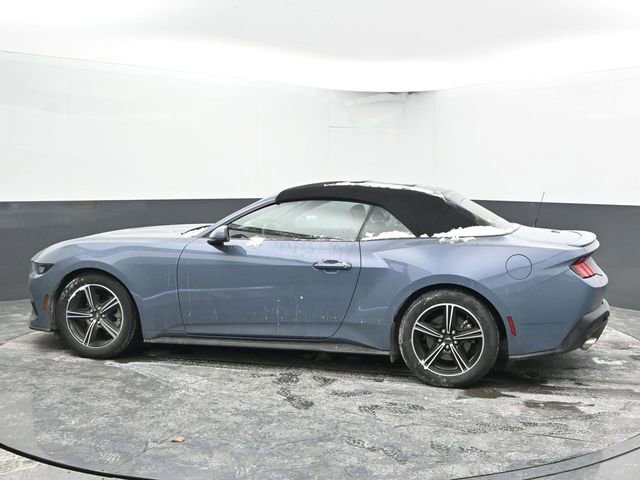 Used 2024 Ford Mustang Premium image 8