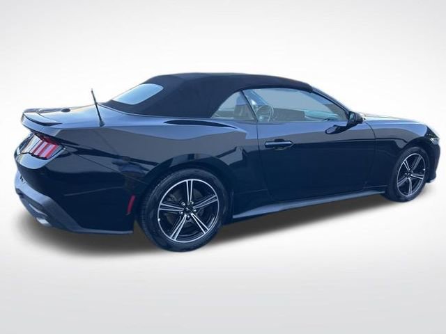 Used 2025 Ford Mustang Premium image 6